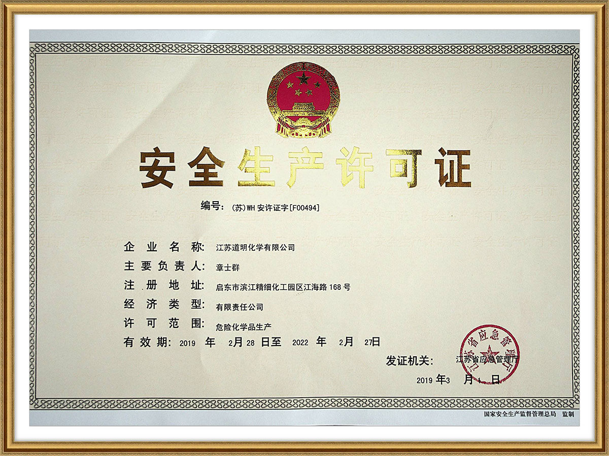 Original 2019 Safety Production License 